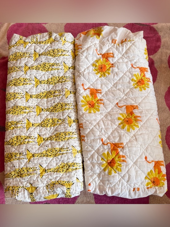 Crate&Barrel Other - 2PC Land of Nod 100% Cotton Changing Pad Covers